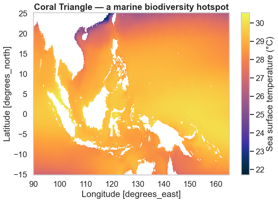 Coral Triangle